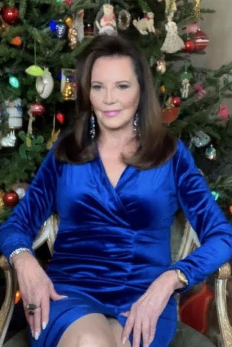 Alondra Velvet Maxi Dress - Clothing