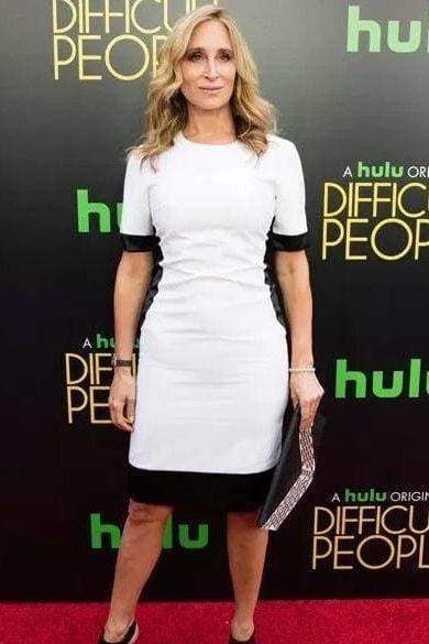 Light Weight Wool Shift Dress (White) - Clothing