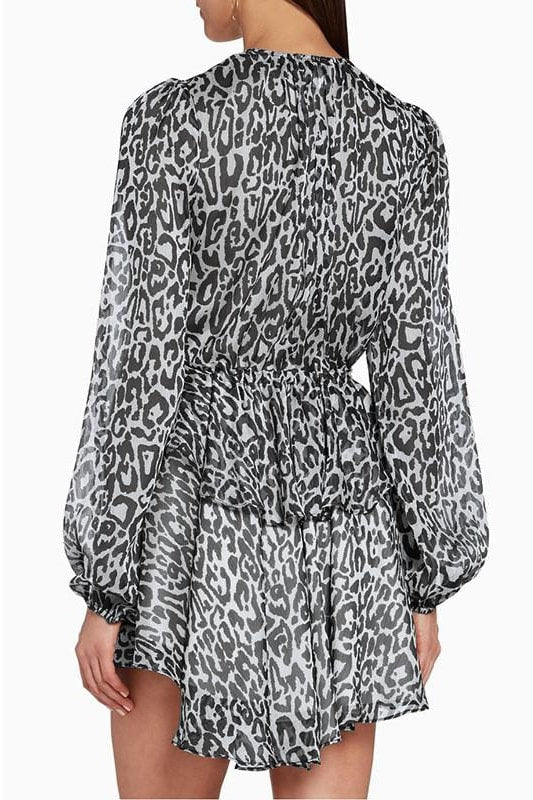 Leopard Dress - Clothing